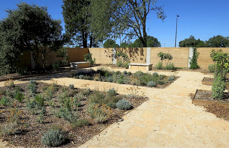 Aménagement paysager : jardin de Chantegrive